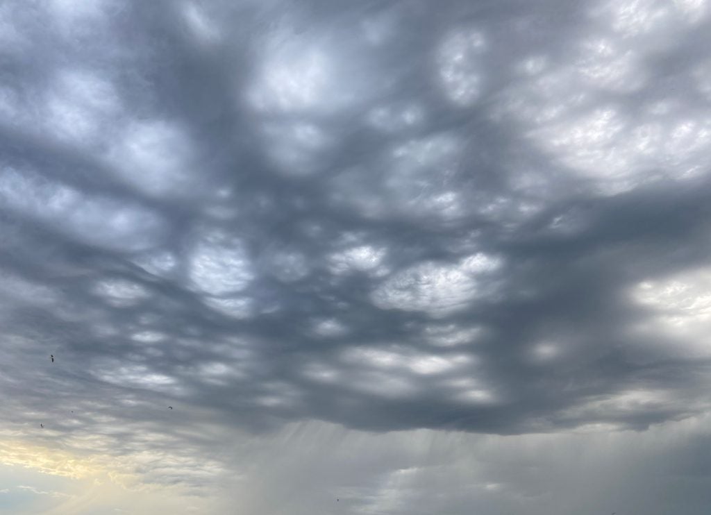 Undulatus Oceanum